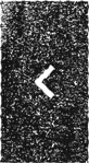 Arrow Left